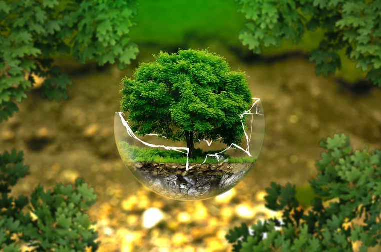 Environmental Protection Nature